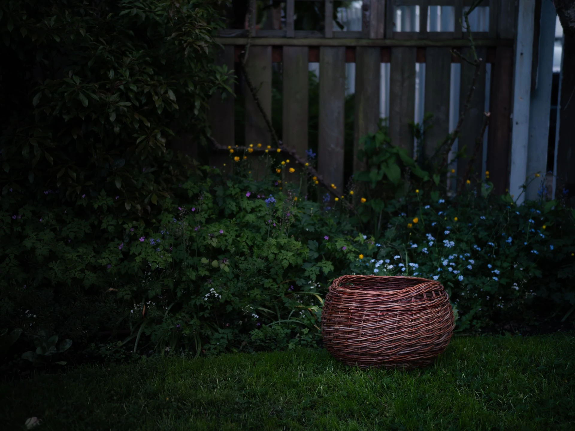 A round willow basket rests on the grass, with small yellow and violet flowers behind it.